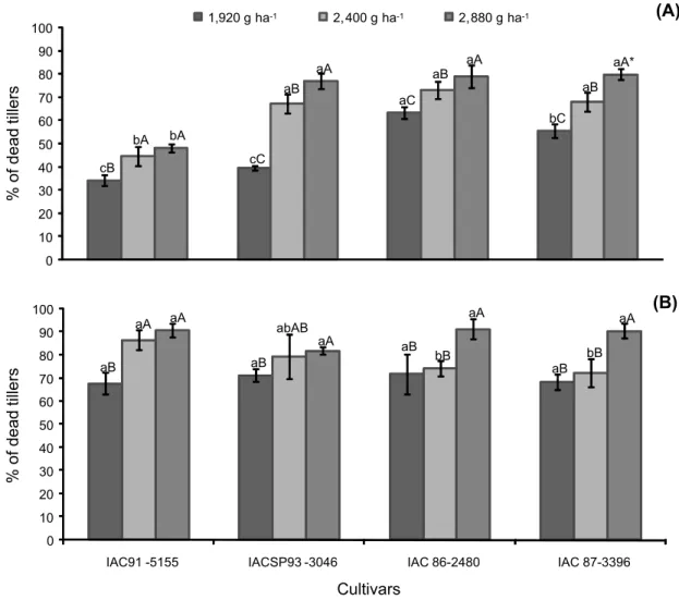Figure 1 - Further analysis of the interaction cultivar x rate for percentage of dead sugarcane tillers at 21 (A) and 28 (B) days after glyphosate application.