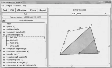 Figure 1. Using computer-aided observation in a proving task.