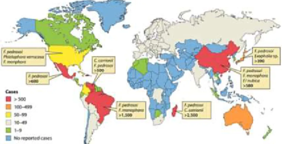 Figura 1. Distribuição dos casos de CBM no mundo, de acordo com casos relatados. Fonte: Telles et all.,  2017.