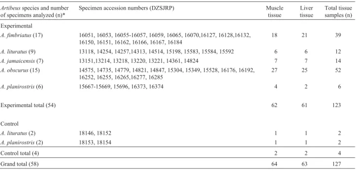 Table 1 - Number of preserved voucher specimens (n) of Artibeus frugivorous bats and liver and muscle samples analyzed