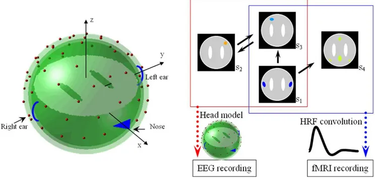 Figure 3. Head model and the construction of synthetic data. (a) Head model: 2452 voxels within a concentric three-sphere head model with 64 electrodes on the upper surface