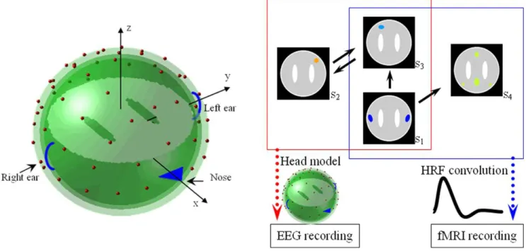Figure 3. Head model and the construction of synthetic data. (a) Head model: 2452 voxels within a concentric three-sphere head model with 64 electrodes on the upper surface