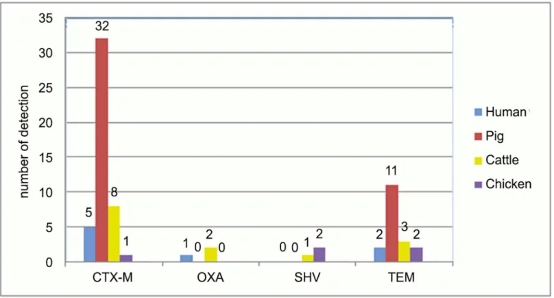Fig 2. Distribution of ESBL genes in samples of human, pig, cattle and chicken origin