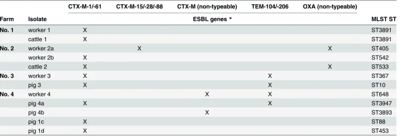 Table 3. Overview of the ESBL-PCR and MLST-results of the human-livestock isolates.