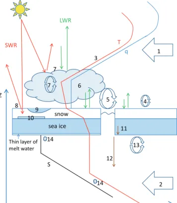 Figure 1. Simplified presentation of physical processes and verti- verti-cal profiles of temperature (T ), air humidity (q), and ocean salinity (S) in the marine Arctic climate system