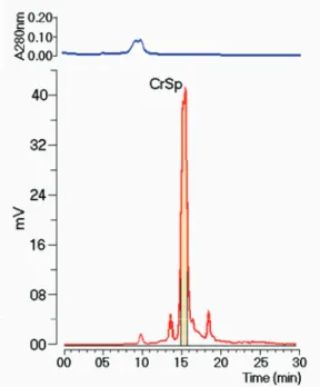 Figure 1.  Fractionation proile for SP extract obtained by size- size-exclusion  high-performance  liquid  chromatography  (SEC  HPLC),  monitored  by  UV  and  detected  by  evaporative  light  scattering