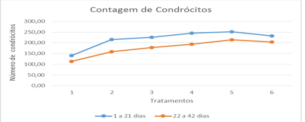 Figura 1. Apresentação do número médio de condrócitos da cartilagem dos animais aos 21 e 42 dias  de idade, que receberam os diferentes níveis de sulfato de glucosamina e sulfato de condroitina