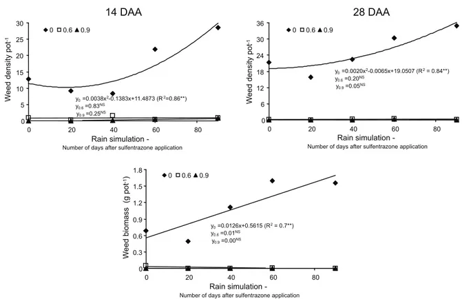 Figure 2 - Plant density of Ipomoea quamoclit at 14 and 28 days after rain simulation (DARS) and shoot biomass at 28 DARS, for different time intervals between sulfentrazone application and rain simulation and for different sulfentrazone doses.