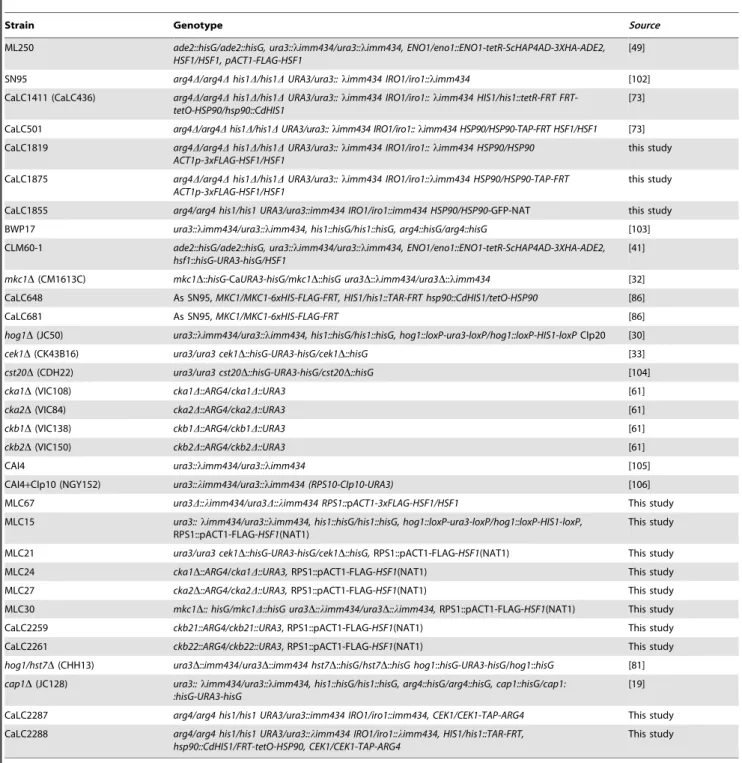 Table 1. C. albicans strains.