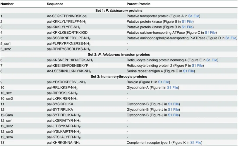 Table 1. Palmitoylated peptides designed around cytoplasmic SLiMs from transmembrane proteins.