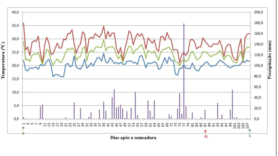 Figura 2. Ciclo da cultura (dias após a semeadura). Dados diários de precipitação pluvial e temperaturas máximas, médias e mínimas  de 31/10/2012 a 15/02/2013