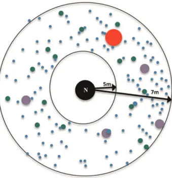 Table 2. Experimental seed distribution.