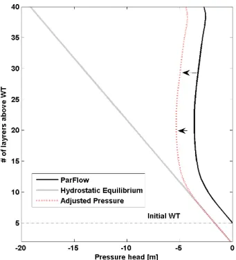 Figure 4. Adjusted pressure head distribution above the estimated DTWT from the DTWT function