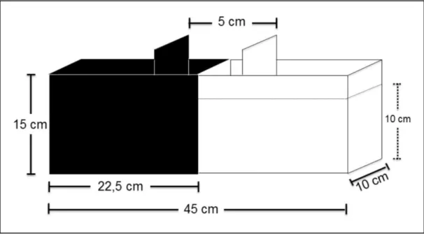 Figura 3: Representação esquemática do teste de Preferência Claro/Escuro. 