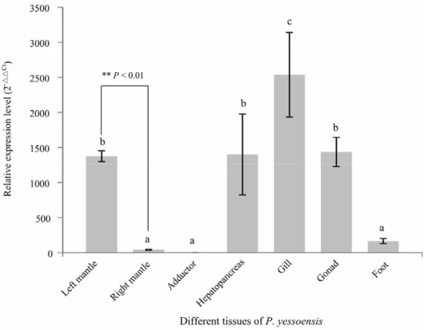Fig. 5 Validation of RNA-Seq results by quantitative real-time PCR and relative gene expression in different  tissues of P
