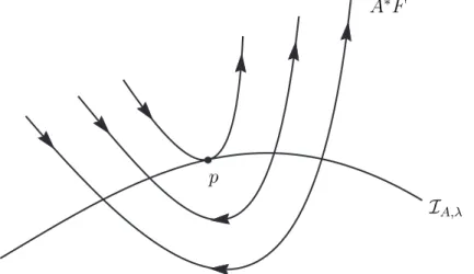 Figura 1.4: (a) O ponto p ´e n´ ucleo-singular: A ∗ F ´e tangente a I A,λ . (b) O ponto p ´e imagem-regular: