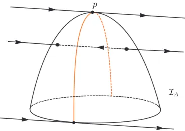Figura 3.1: Ponto cr´ıtico de Morse do tipo m´ aximo, denotado por p e situado entre duas linhas de dobras na Superf´ıcie de Impasse.