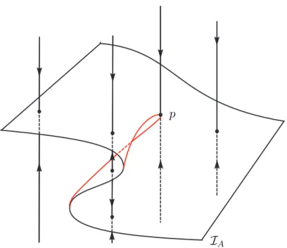 Figura 3.3: Ponto de c´ uspide, caso atrator, situado entre duas linhas de dobras.