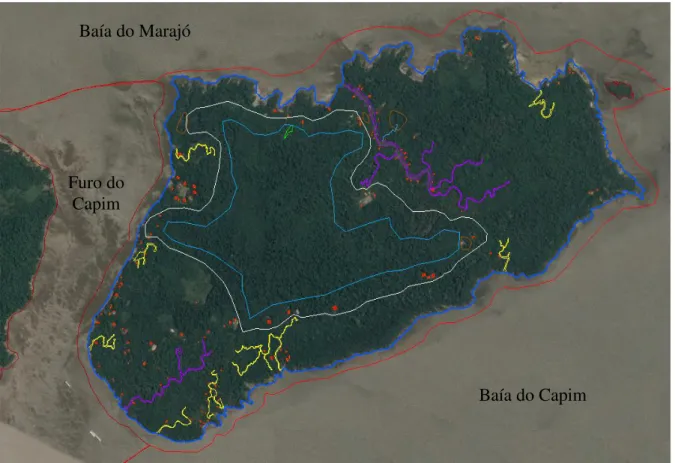 Figura 6 - As zonas da paisagem na Ilha do Capim 14 . Fonte: Organizado pelo autor (2017)