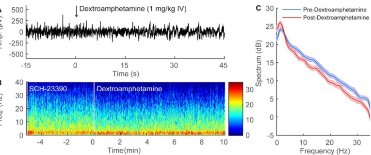 Fig 4. SCH-23390 inhibits the EEG changes induced by dextroamphetamine during continuous sevoflurane anesthesia