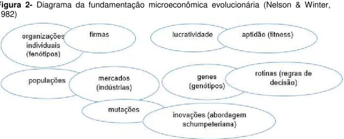 Figura  2-  Diagrama  da  fundamentação  microeconômica  evolucionária  (Nelson  &amp;  Winter,  1982) 