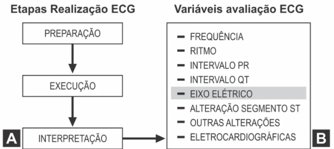 Figura 2 - Etapas de realização do ECG e as variáveis usadas para avaliação do  ECG 