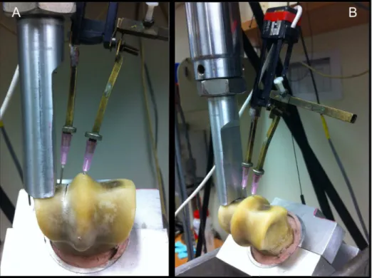 Figure 3. Photograph illustrating the custom-made jig that secures the distal end of the MC3 bone to the platen of a materials testing machine (MTS 858, Minneapolis, MN)