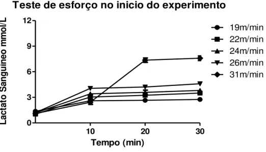 Figura  1.    Lactato  Sanguíneo  de  um  animal  a  titulo  de  exemplo  durante  teste  de  esforço  para  determinação da Máxima Fase Estável de Lactato no inicio do experimento