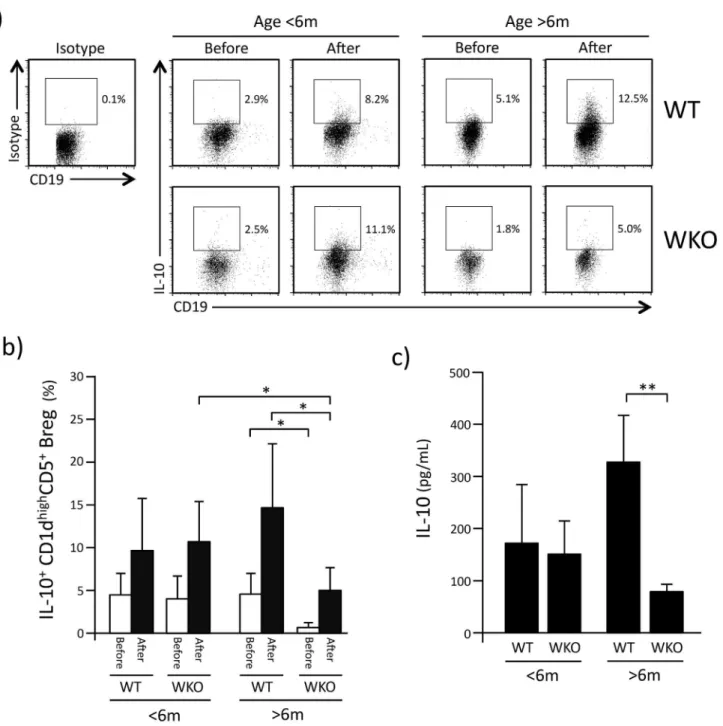 Fig 2. IL-10 production by WKO CD1d high CD5 + Breg. a: Representative flow-cytometry histograms showing IL-10-producing cells identified within CD1d high CD5 + Breg cells of younger (<6 months old) and older (>6 months old) mice before and 5 hrs aft