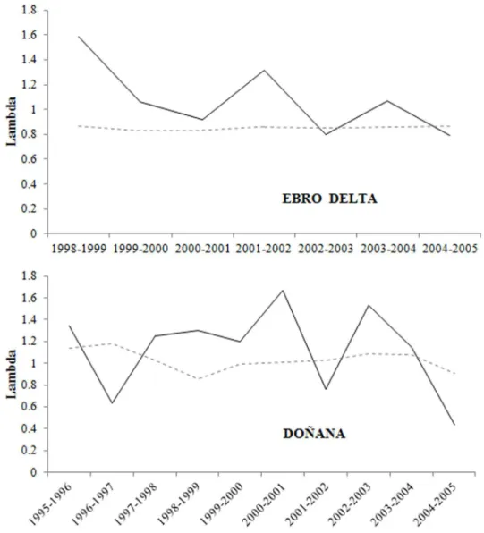 Figure 6. Population growth rates of Slender-billed gulls at Ebro Delta and Don˜ana colonies estimated by nest counts (solid lines) and by the population model including local demographic parameters (dashed line).