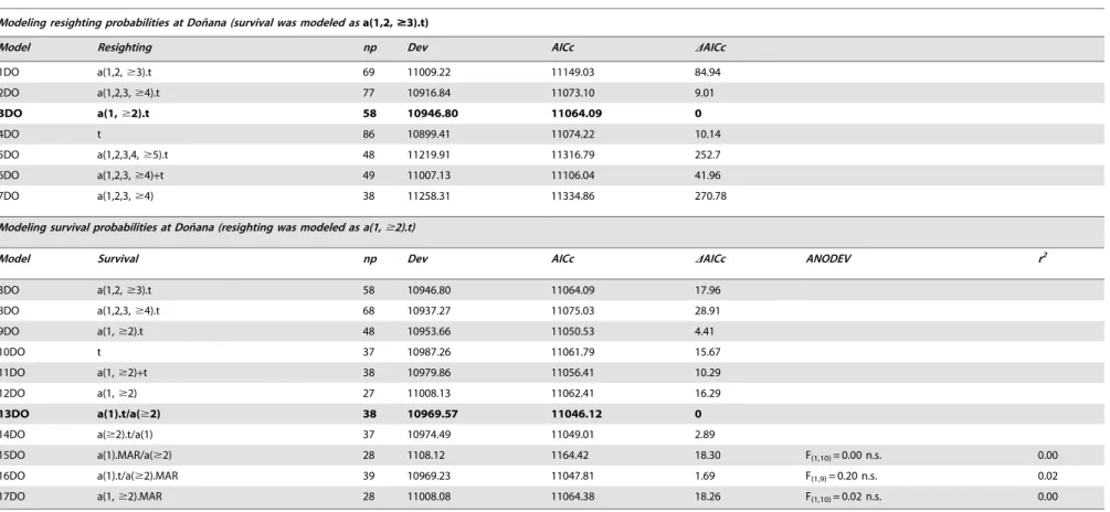Table 2. Modelling resighting and local survival probabilities of Slender-billed gulls at the Don˜ana breeding area.