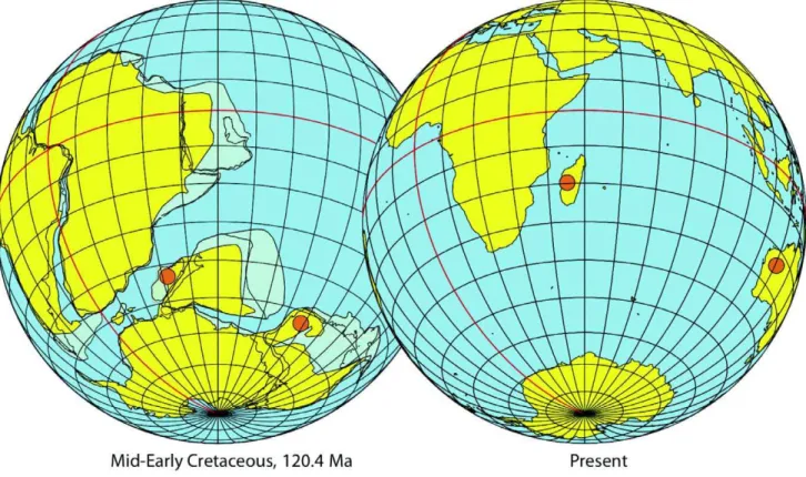 Figure 3. Maps showing the Gondwana continents in the mid-Early Cretaceous (left) and at present (right), with orange dots showing the current localities of Typhleotris (Madagascar) and Milyeringa (Australia).