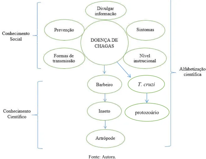 Figura 1 - Fluxograma ilustrando articulações entre problemática e conteúdo .