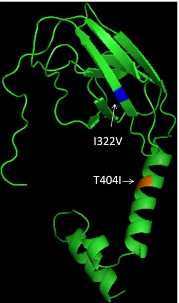 Fig 2. Modelled structure of Envelope Protein (289–440) showing position of I322V &amp; T404I mutations.
