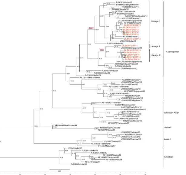 Fig 3. Maximum Clade Credibility tree of Dengue 2 virus. Tree derived with the best fit model (relaxed uncorrelated lognormal clock &amp; Bayesian skyline tree prior) showing node ages