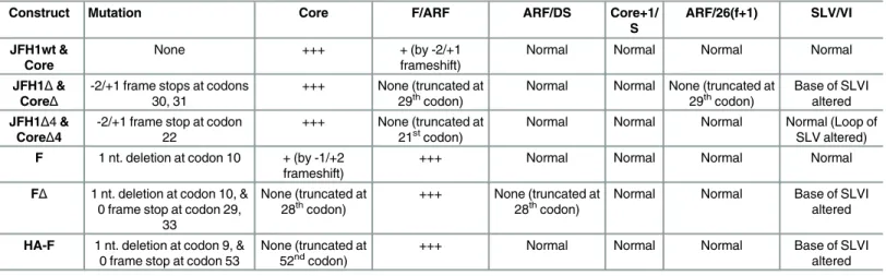 Table 1. JFH1 constructs. Location of nt. substitutions and anticipated effects on protein synthesis and SLV/VI structures are shown