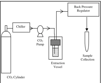 Fig. 1:  Flow  diagram  of  supercritical  fluid  extraction  system 