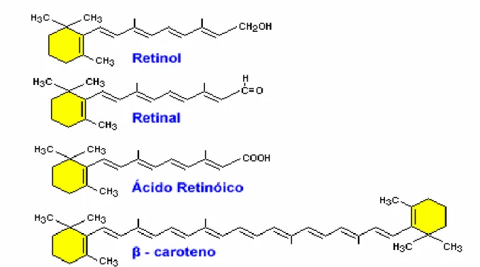 Figura 1. Estrutura química das principais formas da vitamina A  Fonte: BOWEN et al. (2000)