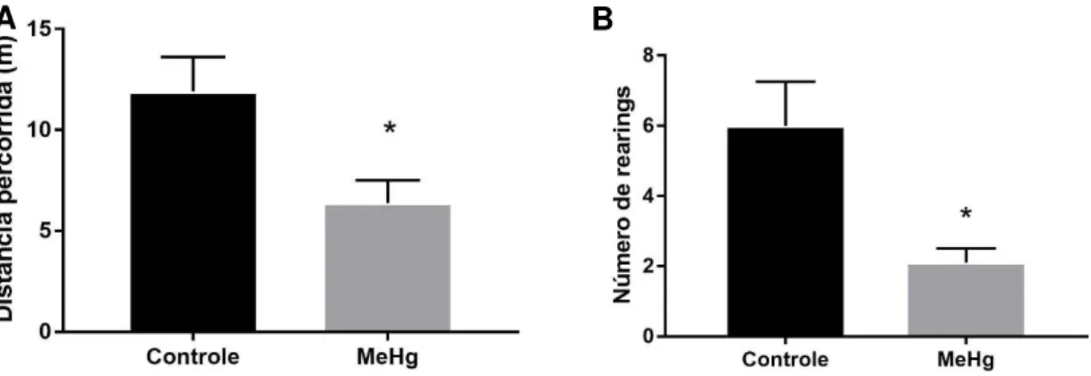 Figura 5 - Efeitos da exposição crônica ao MeHg (40 µg / kg / dia), durante 60 dias, na exploração  horizontal espontânea (A) e número de rearings (B) de ratos Wistar