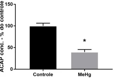 Figura  7  -  Efeitos  da  exposição  crônica  ao  MeHg  (40  µg  /  kg  /  dia),  durante  60  dias  mostrando  diminuição da capacidade antioxidante contra radicais peroxil de ratos Wistar