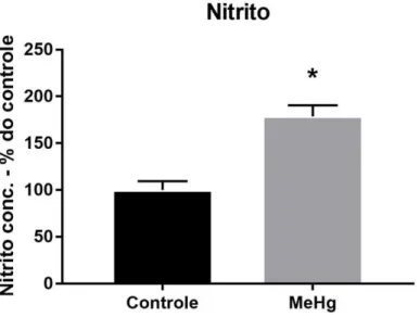 Figura 8 - Efeitos da exposição crônica ao MeHg (40 µg / kg / dia), durante 60 dias, aumentando nos  níveis de nitrito de ratos Wistar