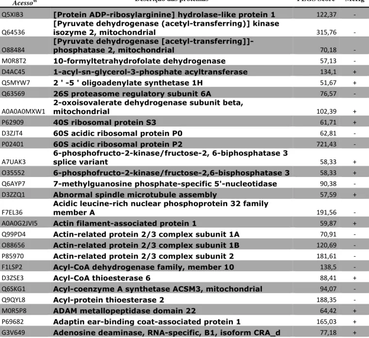 Tabela 1 - As proteínas identificadas estão organizadas em ordem alfabética. As proteínas identificadas  unicamente no grupo MeHg (+) e ausentes no grupo MeHg (-), expressão proteica em comparação ao  grupo controle