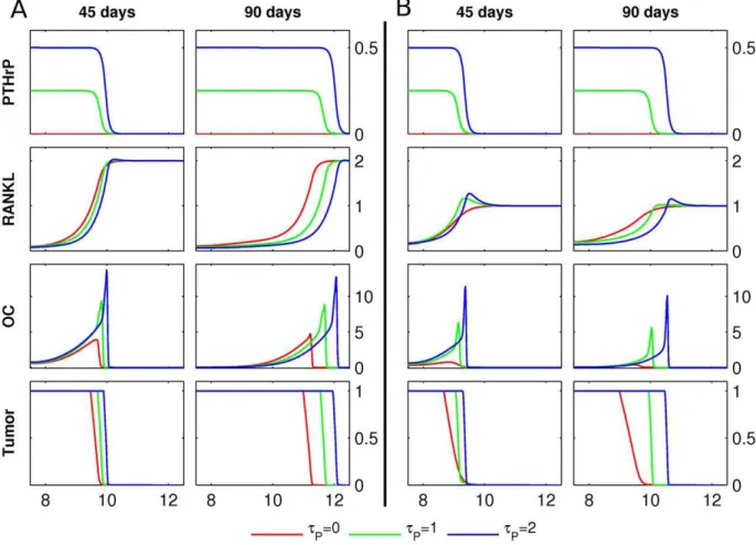 Figure 7. PTHrP production by tumor. A Starting from the initial conditions described in Figure 3, the PTHrP and RANKL concentrations, the osteoclast population density (OC) and the tumor density (Tumor) are shown at 45 and 90 days, respectively