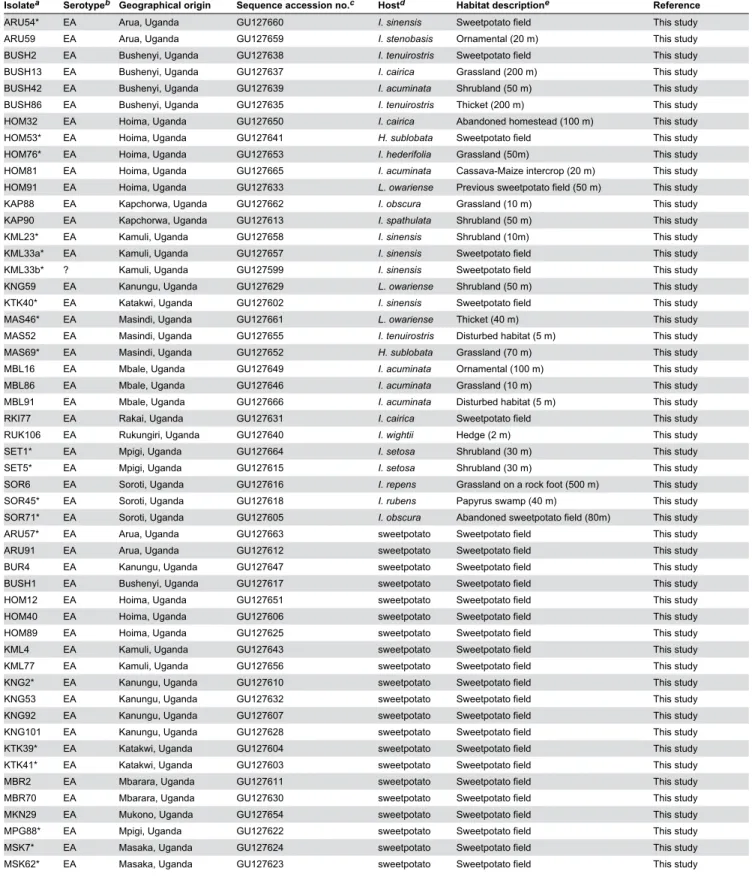Table 1. Sequence accessions of sweet potato chlorotic stunt virus (SPCSV) isolates characterized for their 3’ region of RNA1  from  wild  plants  and  cultivated  sweetpotato  in  this  study  and  those  retrieved  from  the  database  previously charact