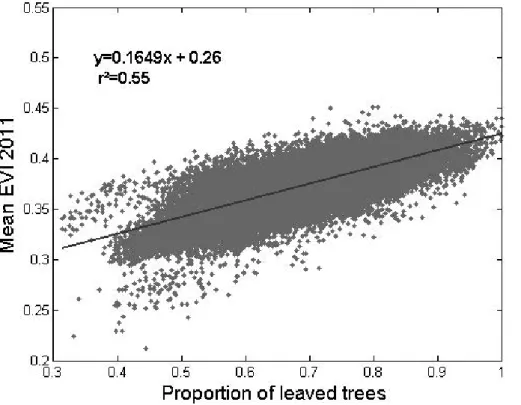 Fig. 4. Linear regression between the proportion of leaved trees and mean EVI values averaged for the dry season of 2011