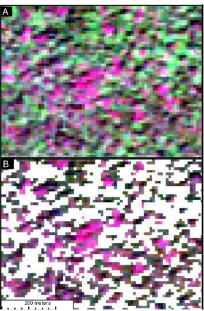 Fig. A1. Thresholding on Red-Near infrared-Green high resolution (SPOT-5) to isolate decidu- decidu-ous trees