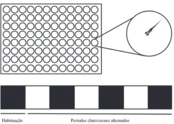 Figura 1.3  Teste de sensibilidade a estímulo visual em larvas de zebrafish. As larvas são dispostas de maneira individual em placas de  poliestireno transparentes de até 96 poços, que são preenchidos com meio para embriões
