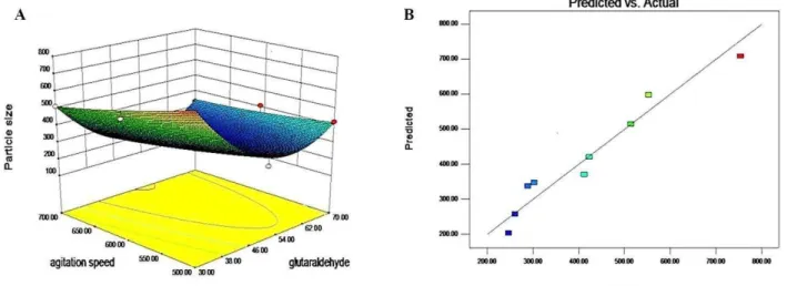 Figure 2. (A) Response surface plot showing the effect of glutaradehyde conc. and agitation speed on particle size (Y1); (B) Linear plot  between observed and predicted value of Y1