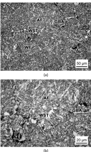Figure 2. Microstructure of steel B22 (air-cooled from the  austenitization at 1250   C for 30 min)