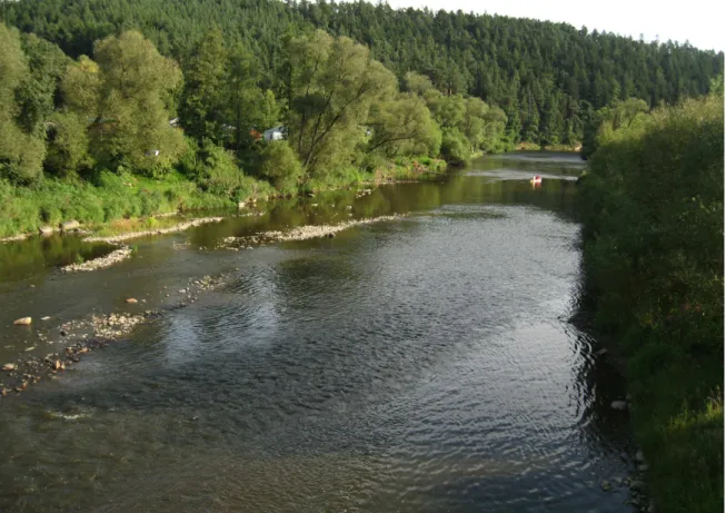Fig. 3. he Lužnice River downstream of the weir in Dobronice u Bechyně (site No. 12).